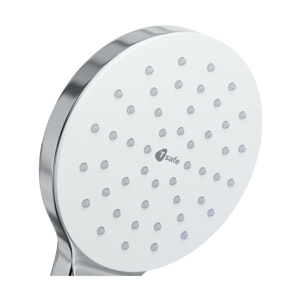 Close-up view of Aegis Hand Shower Filter