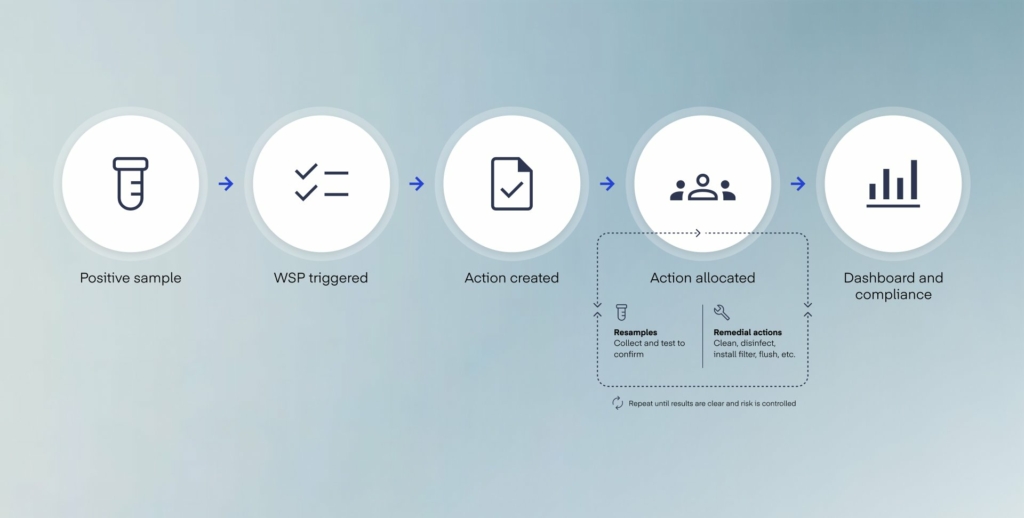 Workflow diagram: Positive sample leads to WSP triggered, then Action created, then Action allocated, then Dashboard and compliance. A dashed loop around Action allocated shows Resamples (collect and test to confirm) and Remedial actions (clean, disinfect, install filter, flush, etc.) repeating until results are clear and risk is controlled.